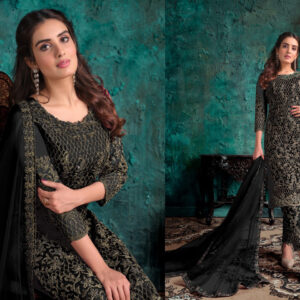 Elegant Looking Net With Embroidery Salwar Kameez